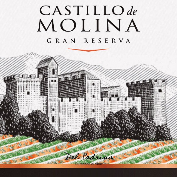 Vinho Tinto Chileno Castillo De Molina Gran Reserva Cabernet Sauvignon