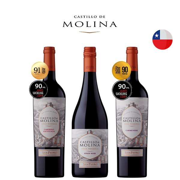 Kit Vinhos Chilenos Castillo di Molina Tinto Gran Reserva