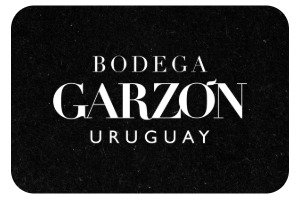 marcas 15 garzon