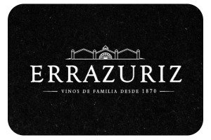 marcas 21 errazuriz