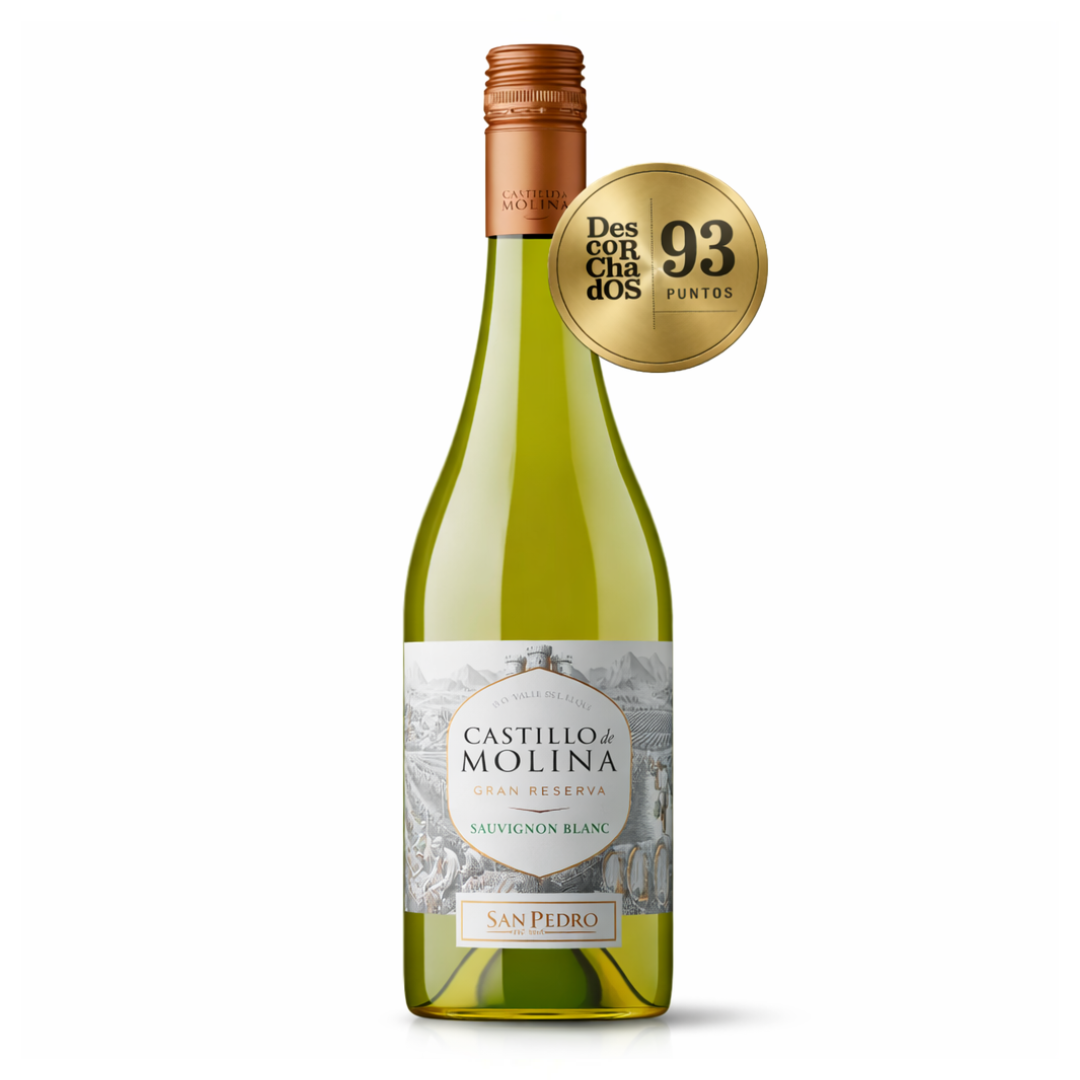 02 vinho branco chileno castillo de molina gran reserva sauvignon blanc