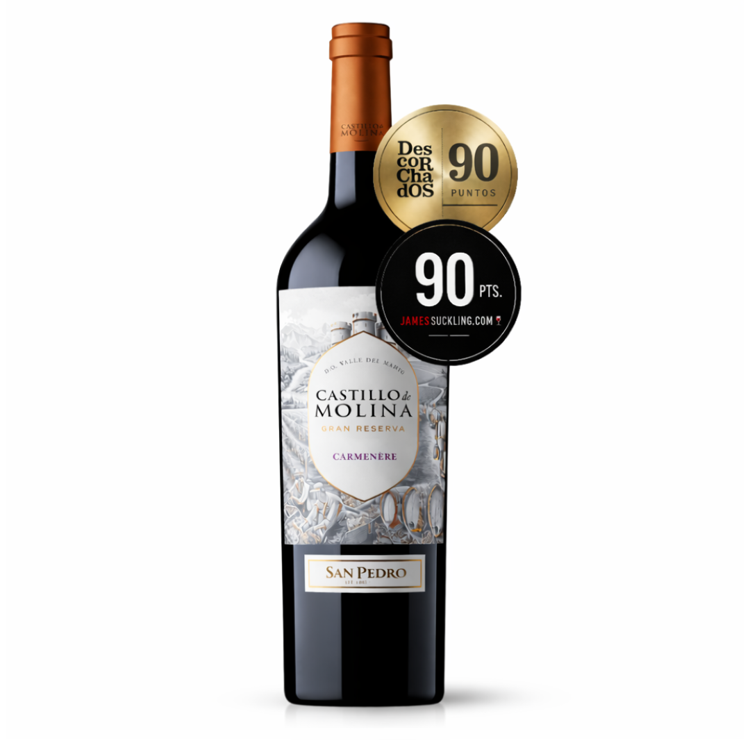 05 vinho tinto chileno castillo de molina gran reserva cabernet sauvignon