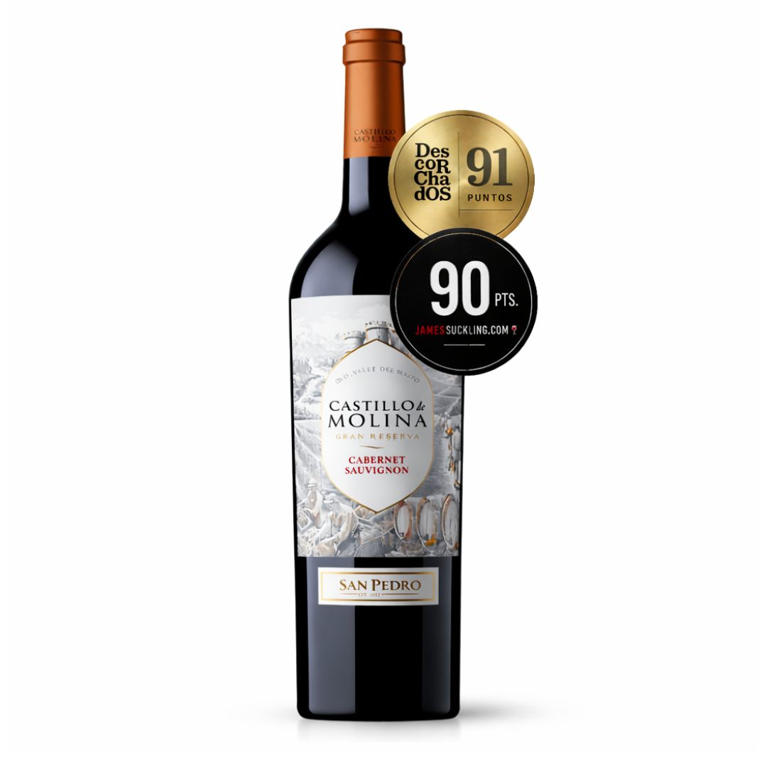 06 vinho tinto chileno castillo de molina gran reserva cabernet sauvignon