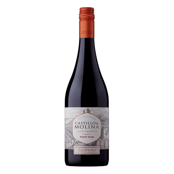 02 vinho tinto chileno castillo de molina gran reserva pinot noir